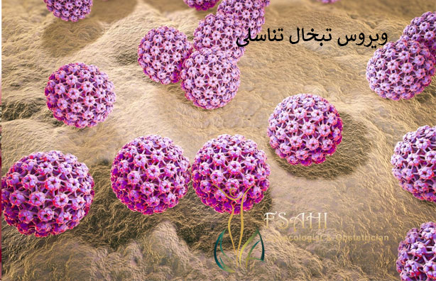 ویروس-تبخال-تناسلی